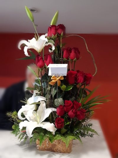 CASCADA DE AMOR