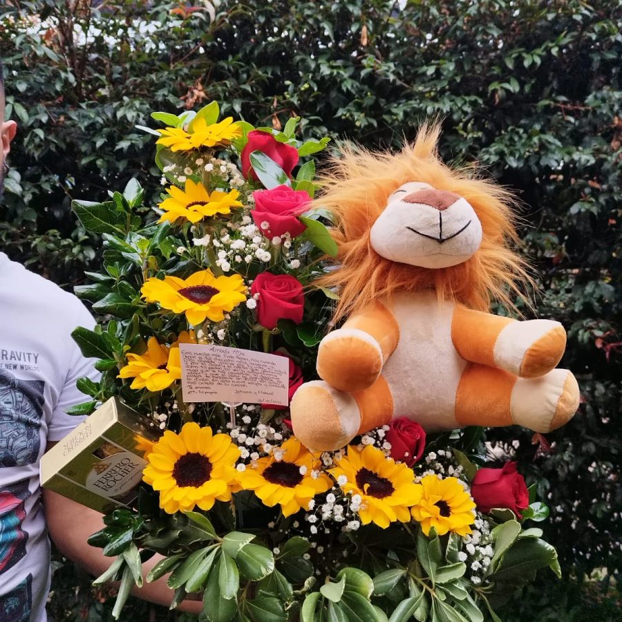 GIRASOLES DE VERANO CON PELUCHE