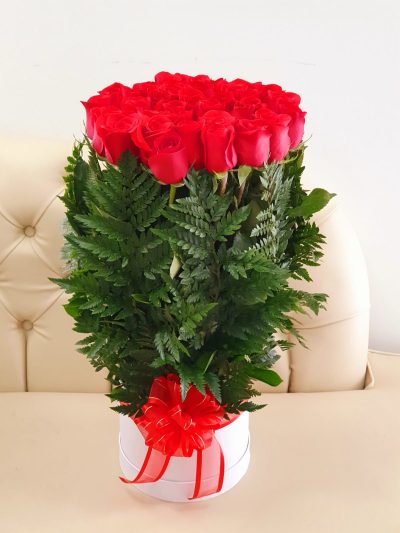 NUBE DE ROSAS