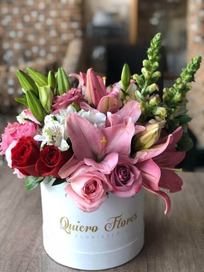 ENCANTO FLORAL