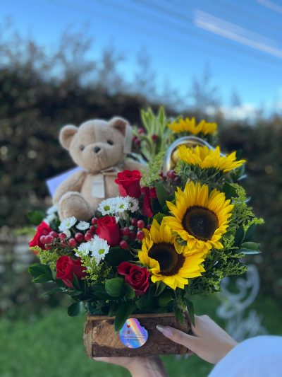 FLORECE EL AMOR CON PELUCHE Y CHOCOLATES