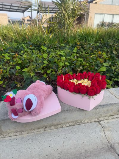 EL AMOR DE MI VIDA